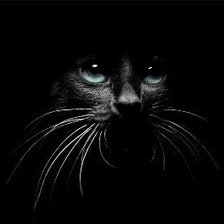 Схема вышивки «Кошка»