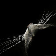 Схема вышивки «Кошка»