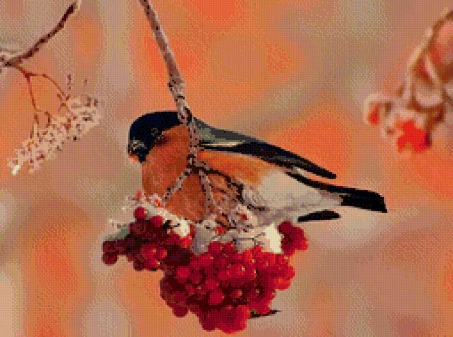 Снегирь - природа, животные - предпросмотр