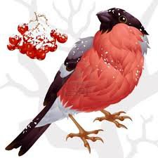 Снегирь - птицы - оригинал