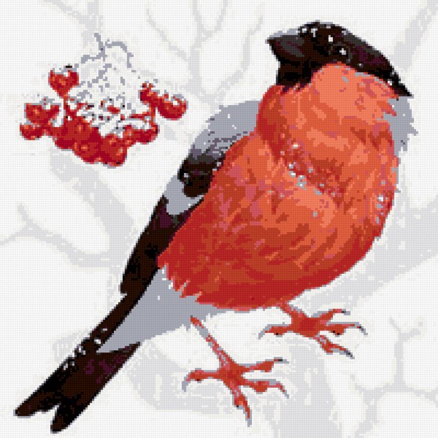 Снегирь - птицы - предпросмотр