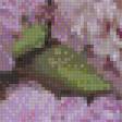 Предпросмотр схемы вышивки «розовые пионы» (№821506)