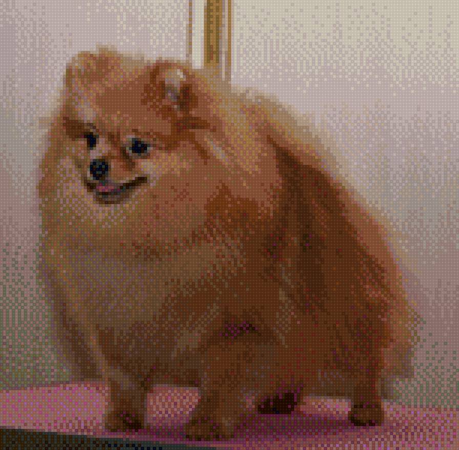 урфин-джус - предпросмотр