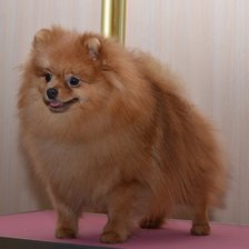 Схема вышивки «урфин-джус»