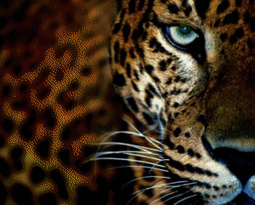 леопард - предпросмотр