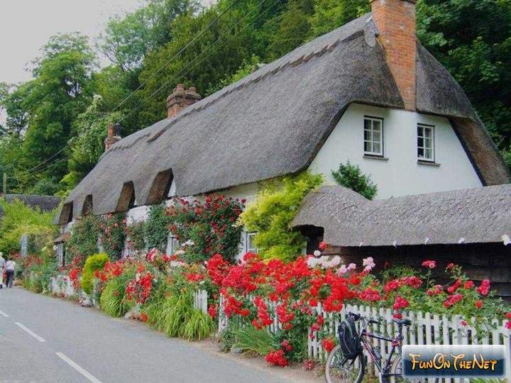 gran cot - оригинал