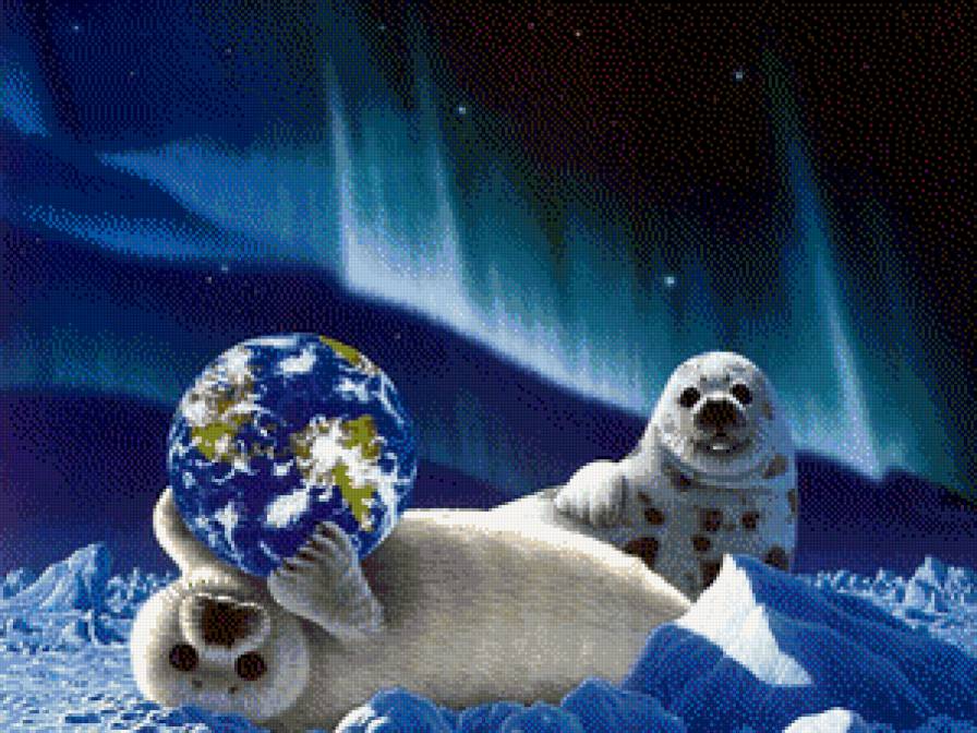las focas y la tierra - предпросмотр