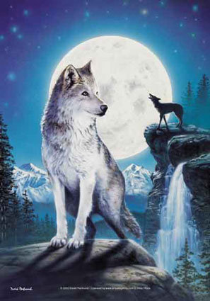 lobo - оригинал