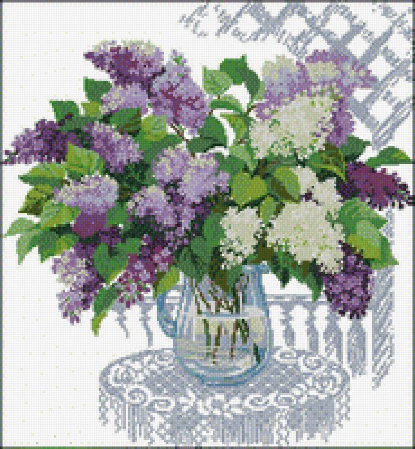 сирень - предпросмотр