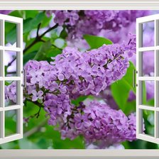 Схема вышивки «№822555»