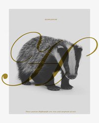 Пуффендуй - оригинал