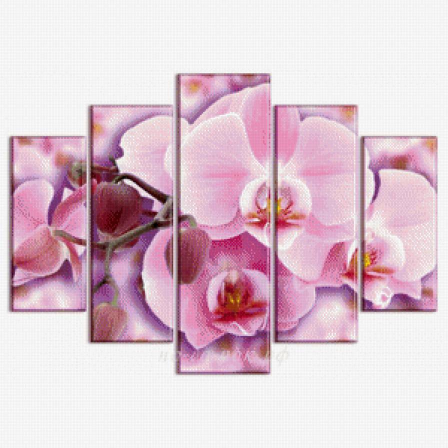 сакура - модуль - предпросмотр