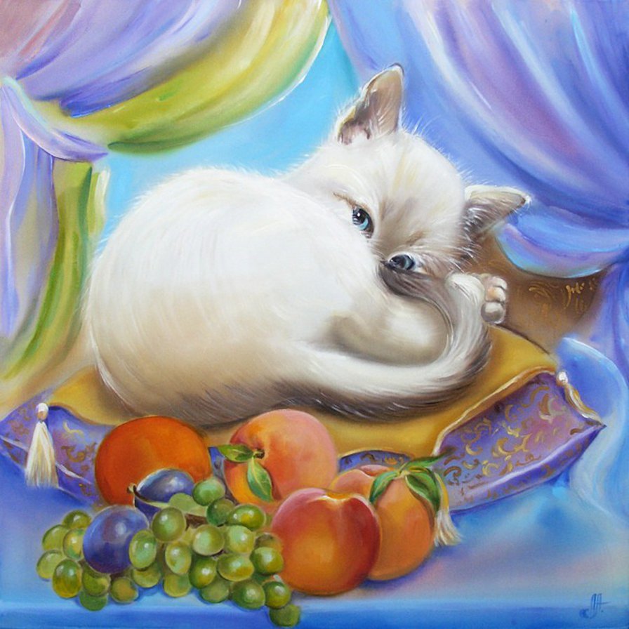 кот султана - коты, котики, кот - оригинал