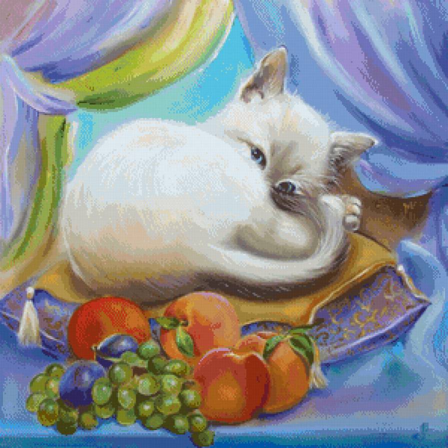 кот султана - котики, коты, кот - предпросмотр