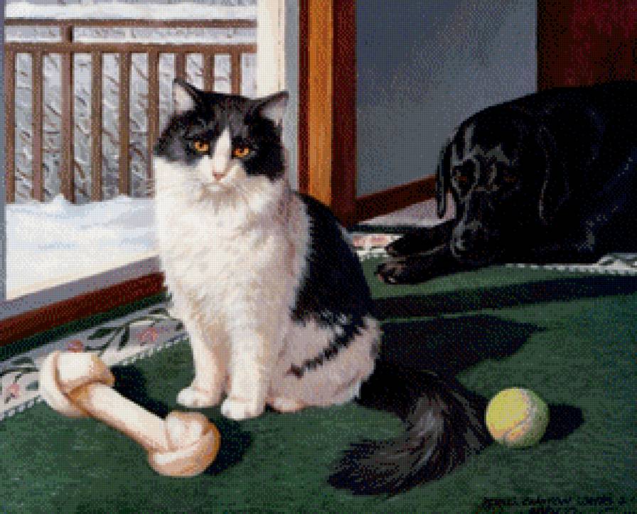 поиграли - животные, кот, собака, котики, коты - предпросмотр