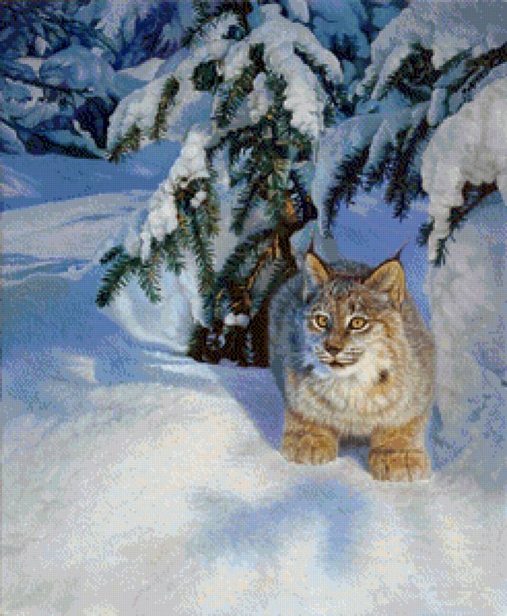 №822887 - предпросмотр