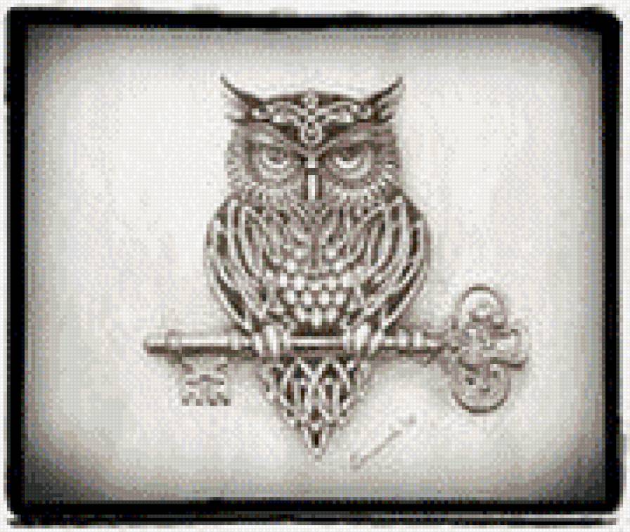 сова - птицы - предпросмотр