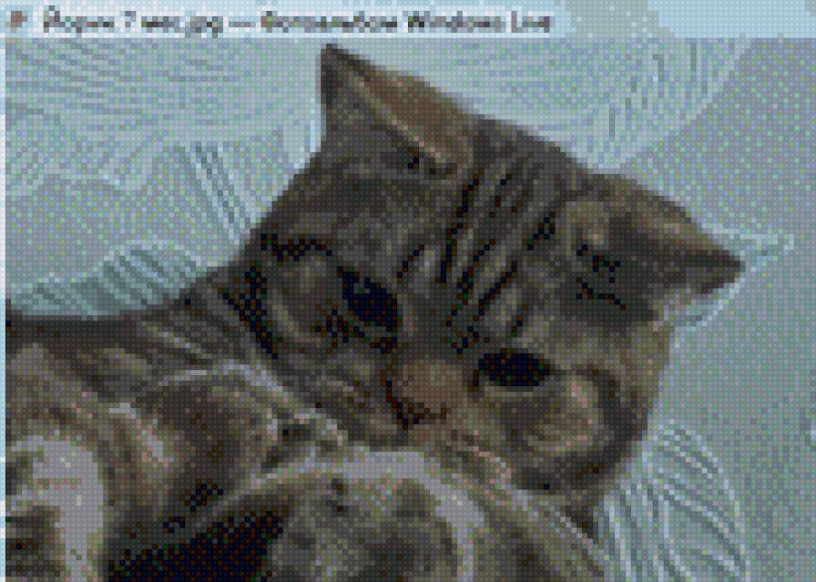 Йорик - кошки - предпросмотр