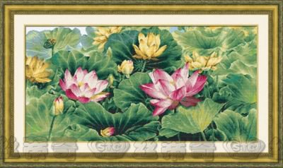 Лотосы. - оригинал