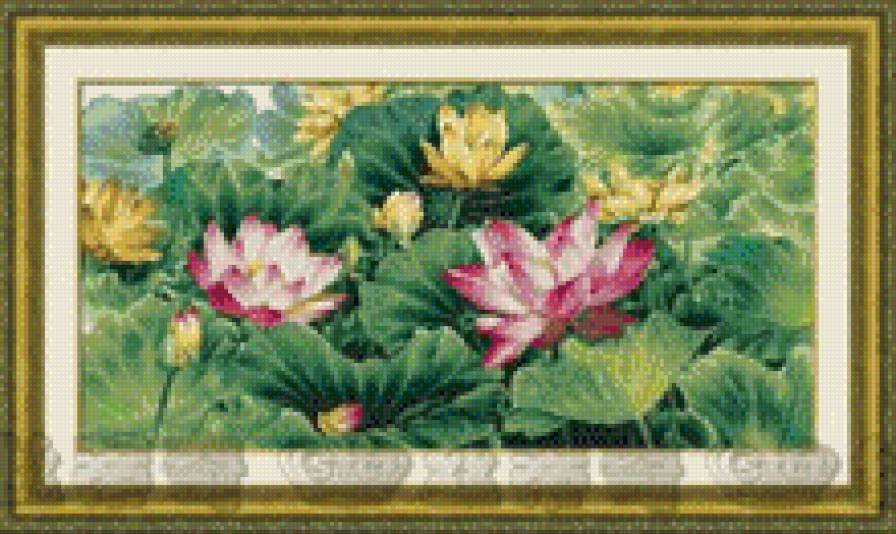 Лотосы. - предпросмотр