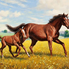 Схема вышивки «Лошадь с жеребенком»