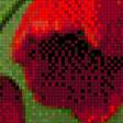 Предпросмотр схемы вышивки «Тюльпаны» (№823455)