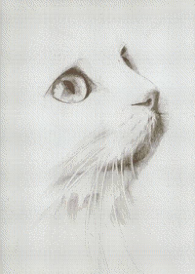 Семка - предпросмотр