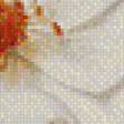 Предпросмотр схемы вышивки «Роза и фуксии» (№823521)