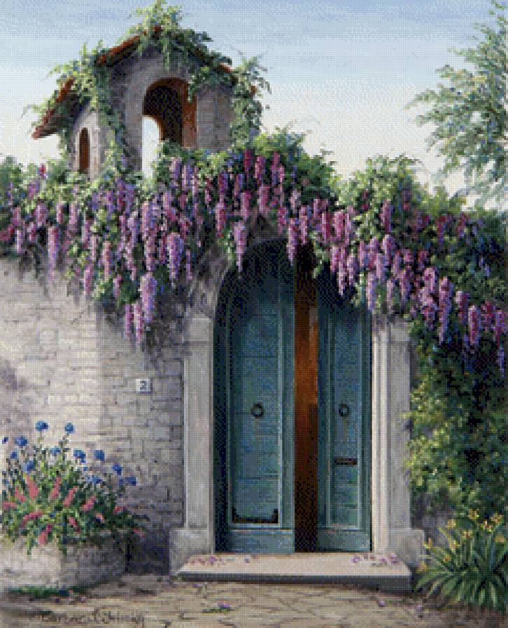 puerta con bouganvilla - предпросмотр