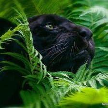 Схема вышивки «1»