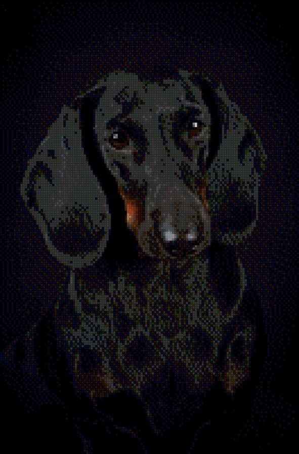 Такса черная - предпросмотр