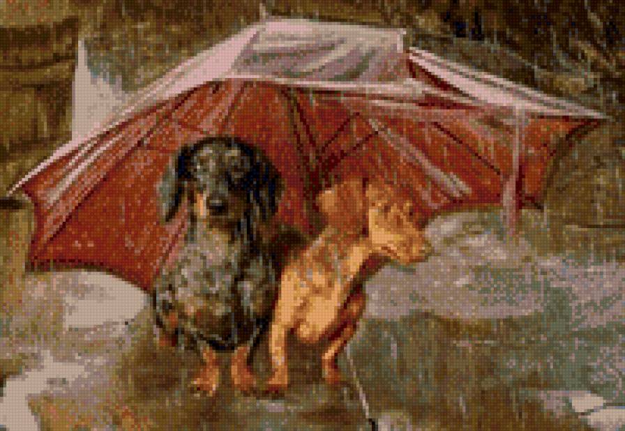 Таксы под зонтом - предпросмотр