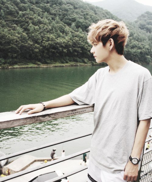 Утренняя Свежесть - свежесть, v, утро, bts, природа - оригинал