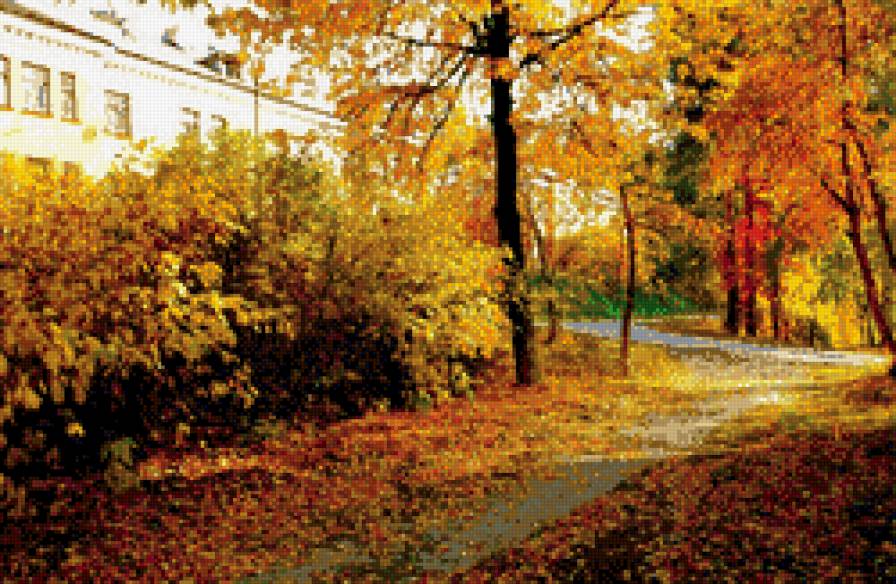 Осень на Лесной 3 - солнце, осень, листопад, тротуар - предпросмотр