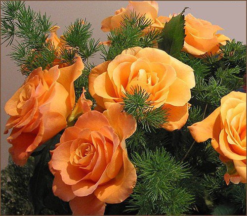 Розы в хвое - оригинал