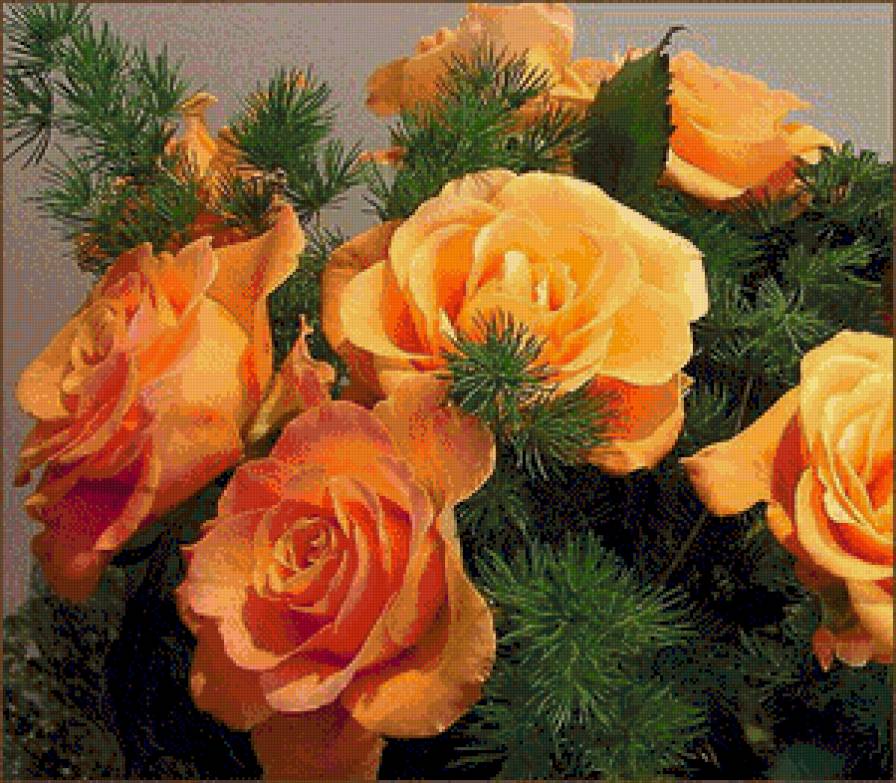 Розы в хвое - предпросмотр