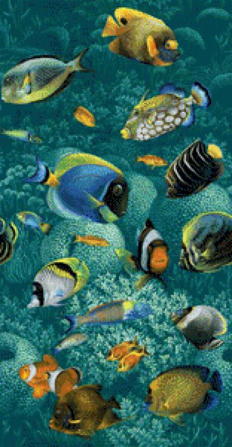 peces - предпросмотр