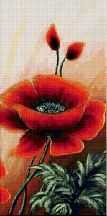 триптих маки (часть 3) - модульные, модуль, цветы - предпросмотр