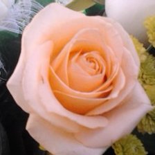 Схема вышивки «роза»