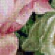 Предпросмотр схемы вышивки «розы в белой вазе» (№824845)