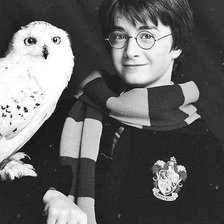 Схема вышивки «№824868»