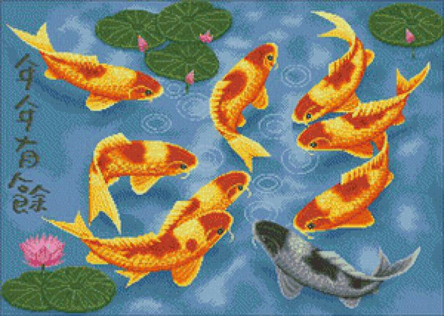 9 карпов - предпросмотр