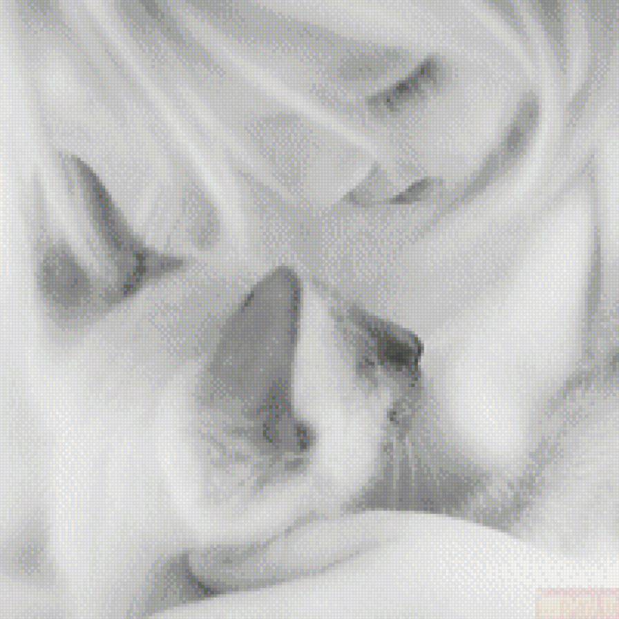 детская любовь - любовь, кошки, дети, красота - предпросмотр