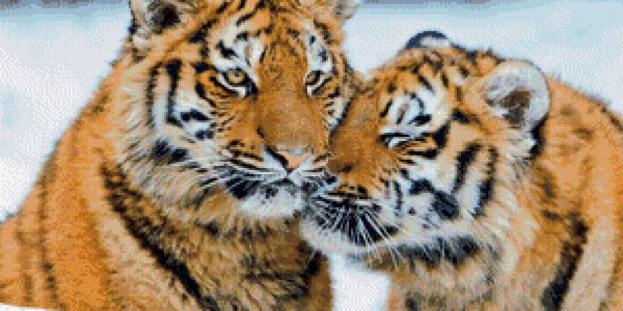 тигрули - предпросмотр