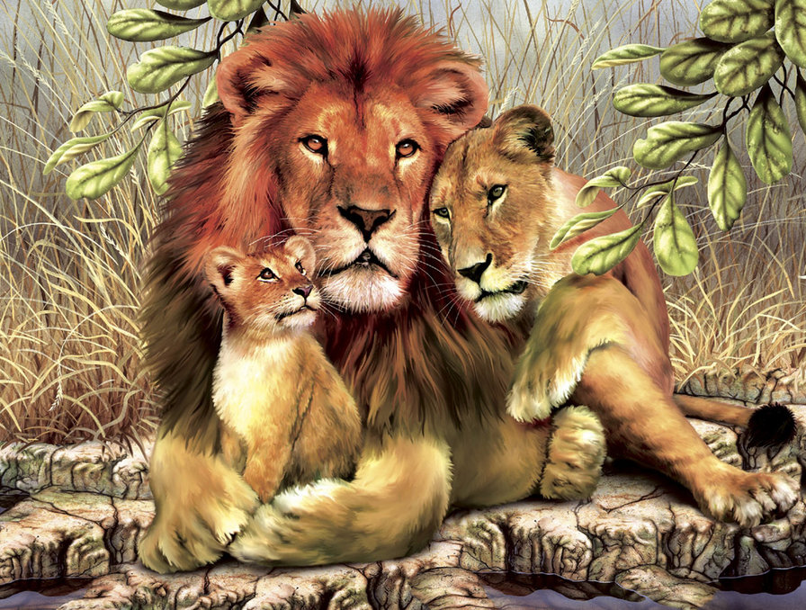 львиное семейство - дикие животные - оригинал