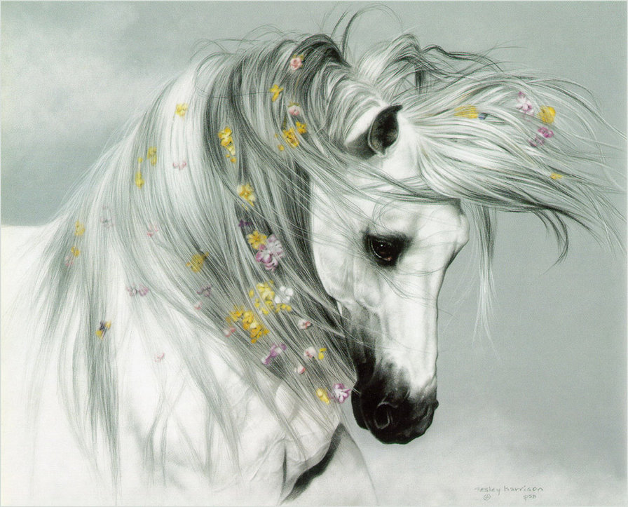 красивая лошадь - животные, лошадь, картина - оригинал