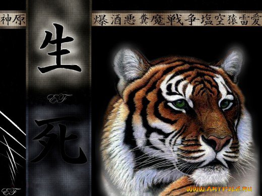 тигр - дикие животные, тигр - оригинал