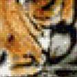 Предпросмотр схемы вышивки «тигр» (№825317)