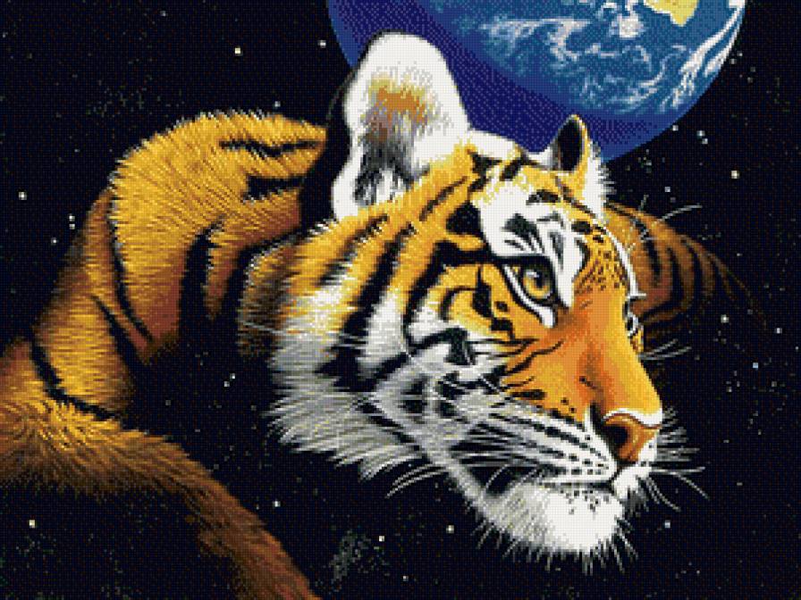 тигр - дикие животные, тигр - предпросмотр