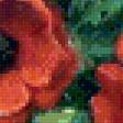 Предпросмотр схемы вышивки «маки в горшке» (№825421)